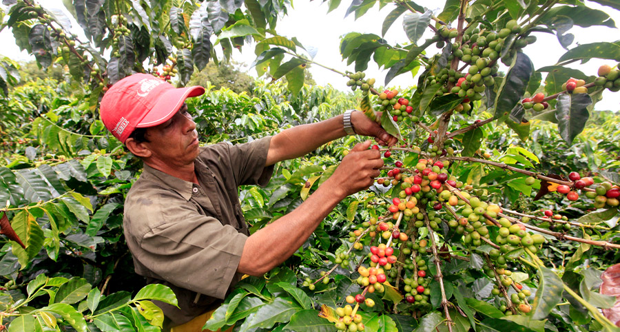 USAID selects Palladium for agriculture project in Colombia