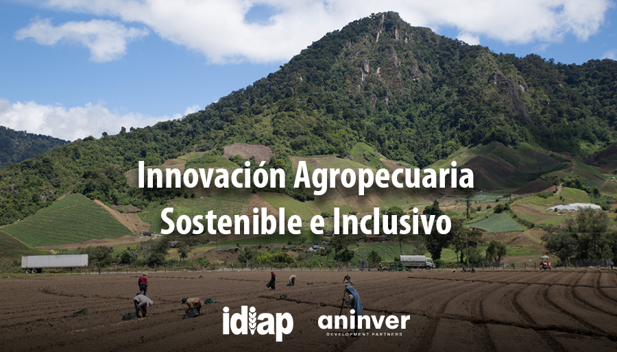 Aninver supporting smallholder farmers in Panama with sustainable and inclusive growth – Consultancy.lat