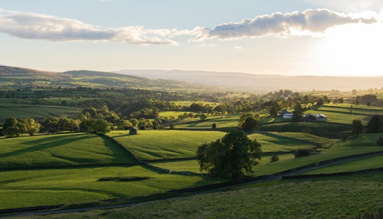 Yorkshire area continues to enjoy strong employment