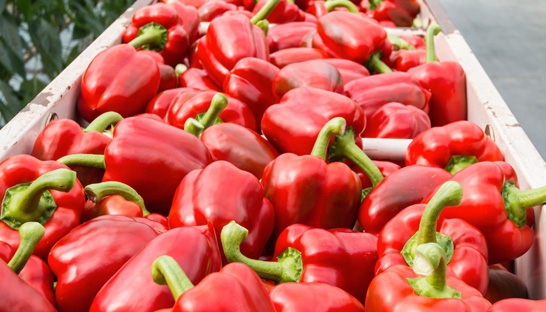 Oliver Wyman: Improve freshness to reduce waste