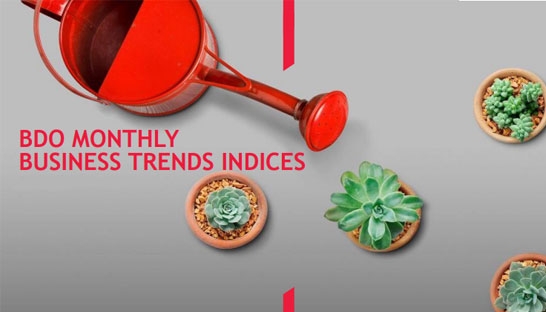 UK business optimism rises but stagnant wages could limit growth