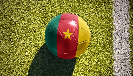 CAF hires Roland Berger to review infrastructure of AFCON 2019