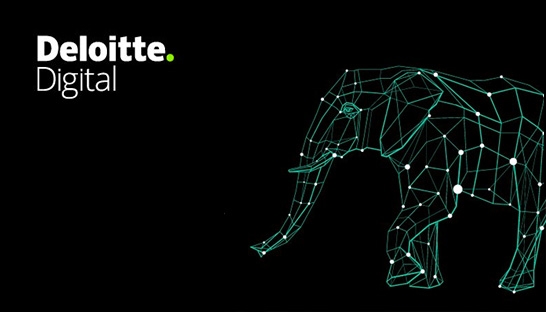 Deloitte Digital formally launches in India, led by Ajit Kumar