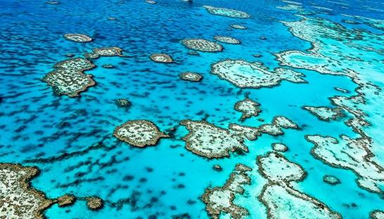 Deloitte put the value of Great Barrier Reef at $56 billion