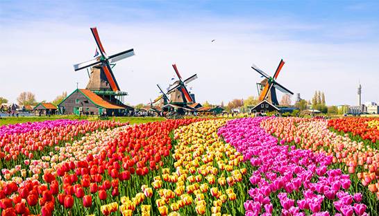 French Chamber of Commerce lauds Sia Partners for fast Dutch growth