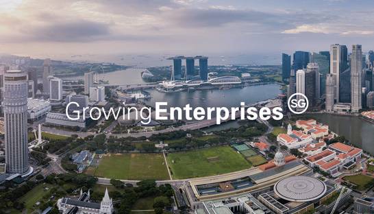 McKinsey and PwC support latest batch of scale-ups in Singapore