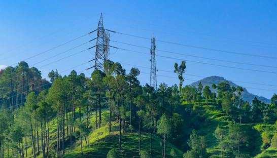 Deloitte working on privitisation of India's power sector