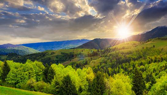 National Trust collaborates with Atos to boost supporter experience