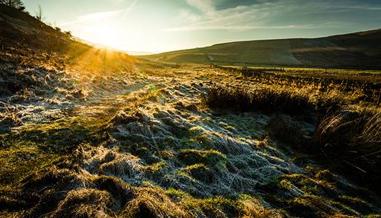 H M Project Developments administrators launch climate restoration project