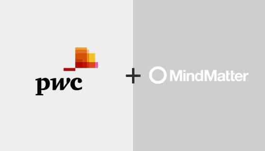 PwC acquires strategy software boutique Mindmatter
