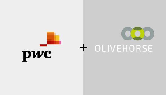 PwC completes integration of supply chain consultancy Olivehorse