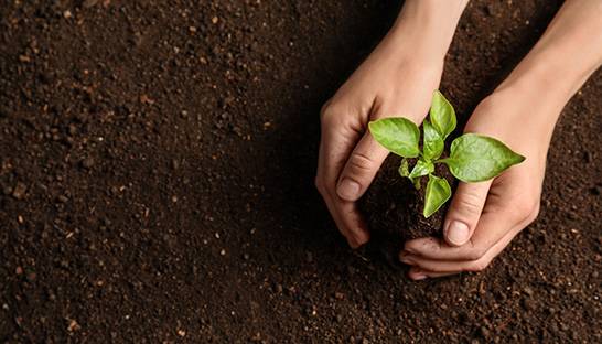 Aecom rolls out net-zero training for built environment sector