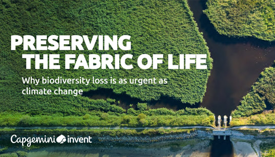 Four-in-five firms have no biodiversity strategy