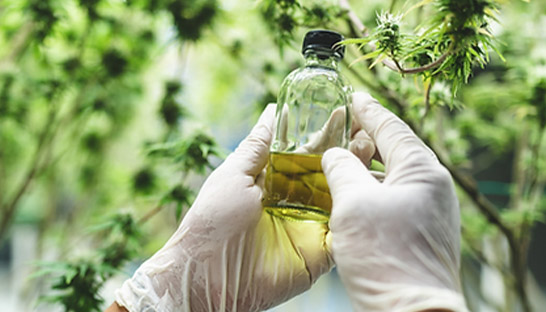 Medical cannabis company Montu wins back-to-back growth award