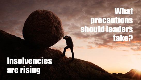 Insolvencies are rising. What precautions should leaders take?