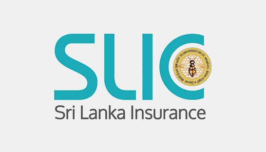 Sri Lanka appoints consultants for sale of state-owned company