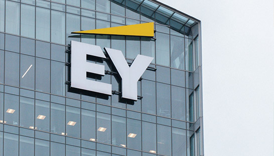 Government launches investigation into death of young EY’er due to ‘work stress’