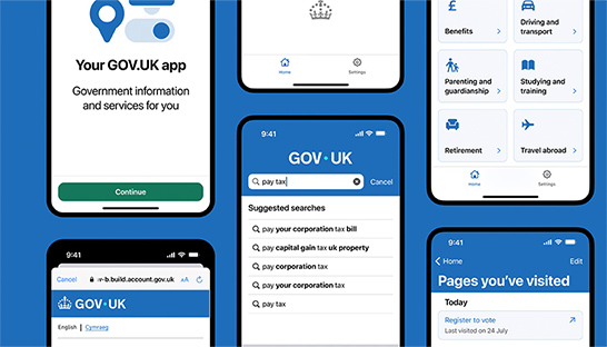 Government worked with Deloitte for delivery of GOV UK app