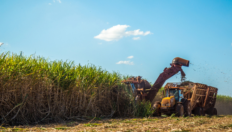 Brazilian corn, poultry and sugar exports disrupted by conflict in Middle East